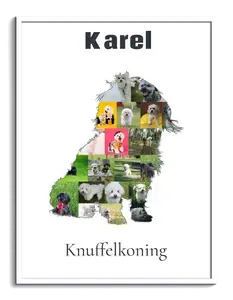Creëer unieke Bolonka fotocollage: Jouw herinnering voor thuis of als cadeau!