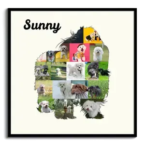 Creëer unieke Bolonka fotocollage: Jouw herinnering voor thuis of als cadeau!