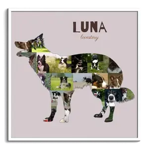 Maak jouw Border Collie fotocollage met eigen foto's en tekst!