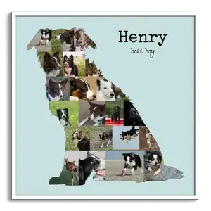 Maak jouw Border Collie fotocollage met eigen foto's en tekst!