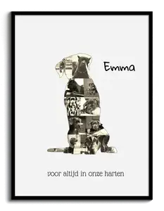 Creëer jouw Cane Corso collage - Een unieke herinnering aan je trouwe viervoeter!