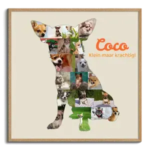 Creëer jouw Chihuahua fotocollage - Personalisier met foto's en tekst