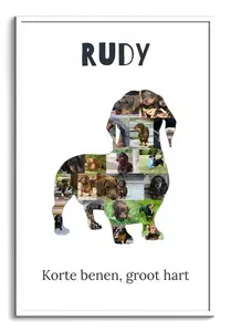 Creëer je persoonlijke Dackel collage voor een unieke hondenherinnering!