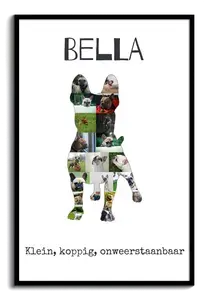 Creëer jouw unieke Franse Bulldog fotocollage - Persoonlijk en onvergetelijk!
