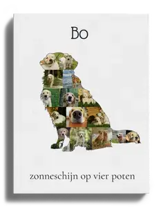Creëer jouw unieke Golden Retriever fotocollage met persoonlijke touch!
