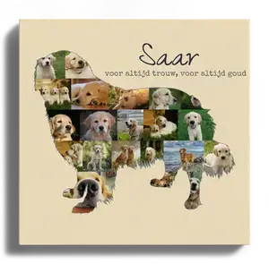 Creëer jouw unieke Golden Retriever fotocollage met persoonlijke touch!