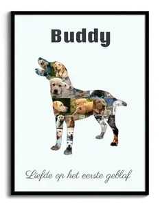 Creëer jouw unieke Labrador fotocollage - Een blijvende herinnering