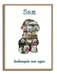 Creëer jouw unieke Malteser collage - gepersonaliseerd met 15-20 foto's!