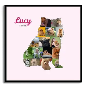 Creëer je persoonlijke Pomeranian fotocollage met jouw foto's en tekst