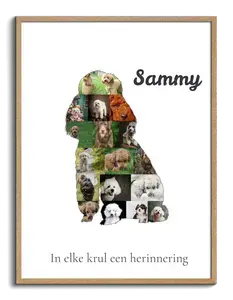 Maak je Poodle Foto-Collage: Unieke Herinnering voor Hondenvrienden