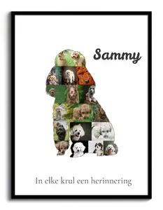 Maak je Poodle Foto-Collage: Unieke Herinnering voor Hondenvrienden