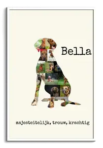 Creëer jouw unieke Rhodesian Ridgeback hondenfotocollage nu!