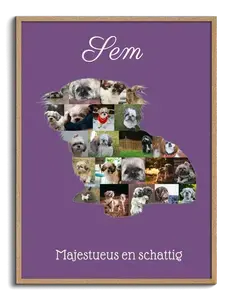 Mooie Shih Tzu Foto Collage voor Jouw Eigen Persoonlijke Herinnering