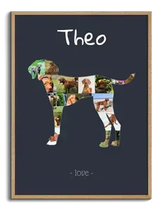 Creëer jouw unieke Vizsla fotocollage - persoonlijk en onvergetelijk!