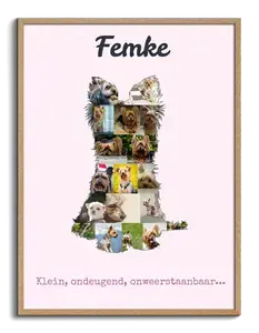 Ontwerp je eigen Yorkshire Terrier fotocollage - Creatief & Persoonlijk