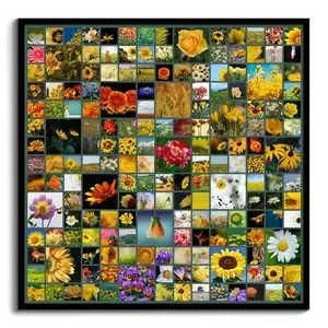 Creëer je eigen vierkante fotocollage: Natuurfoto's als wanddecoratie!