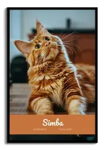 Gedenkcollage kat – ontwerp nu je 1-foto collageposter met naam & datums