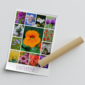 Ontwerp je bloemen-fotocollage – premium print: lente, rozen, zonnebloemen, tulpen Ontwerp je bloemen-fotocollage – premium print: lente, rozen, zonnebloemen, tulpen