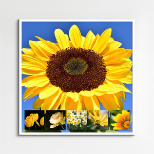 Ontwerp je bloemen-fotocollage – premium print: lente, rozen, zonnebloemen, tulpen Ontwerp je bloemen-fotocollage – premium print: lente, rozen, zonnebloemen, tulpen