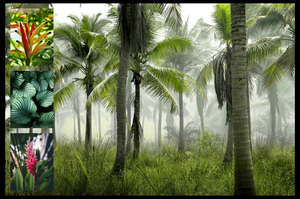 Natuurfotografie Collage – Ontwerp & bestel jouw tropische planten & palmen, premium print