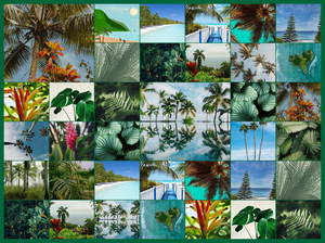 Natuurfotografie Collage – Ontwerp & bestel jouw tropische planten & palmen, premium print