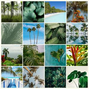 Natuurfotografie Collage – Ontwerp & bestel jouw tropische planten & palmen, premium print