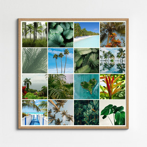 Natuurfotografie Collage – Ontwerp & bestel jouw tropische planten & palmen, premium print