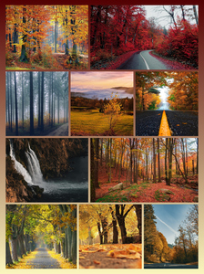 Ontwerp je landschapsfotocollage – premium print als poster of canvas, vier seizoenen