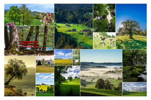 Ontwerp je landschapsfotocollage – premium print als poster of canvas, vier seizoenen
