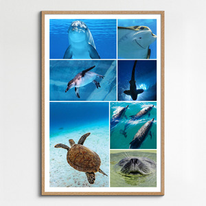Onderwater fotocollage maken – duikfoto's: maak en bestel premium afdruk met sjablonen