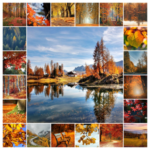 Ontwerp je fotocollage met natuur, landschap & dieren – alle seizoenen | premium print