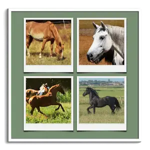 Creëer jouw unieke dierencollage in Polaroid-stijl - Voeg persoonlijke teksten toe!