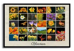 Postercollage klassiek raster met bloemen - ontwerp jouw collage, pas foto's & tekst aan