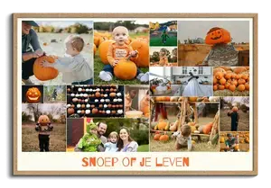 Creëer jouw eigen Halloween collage met kostuums! Voeg tekst toe: "Trick or Treat!"