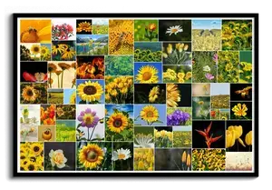 Creëer je eigen bloemenelegantie: Poster met wilde fotocollage, 61 beelden