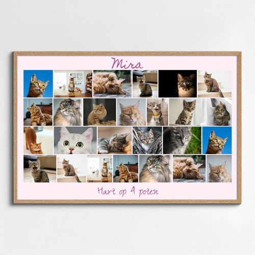 Maak nu een kattenfoto-collage met sjablonen en jouw tekst - Hart op 4 pootjes