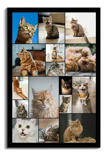 Kattenfoto Collage met Persoonlijke Teksten
