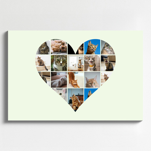 Maak nu je kattenfoto hart-collage - met eigen tekst of naam