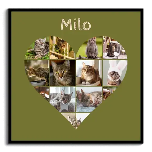 Maak nu je kattenfoto hart-collage - met eigen tekst of naam