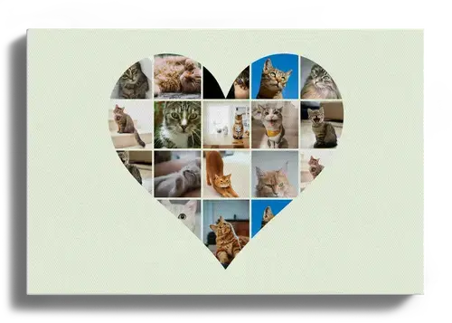 Hartcollage met kattenfoto's en tekstpers.