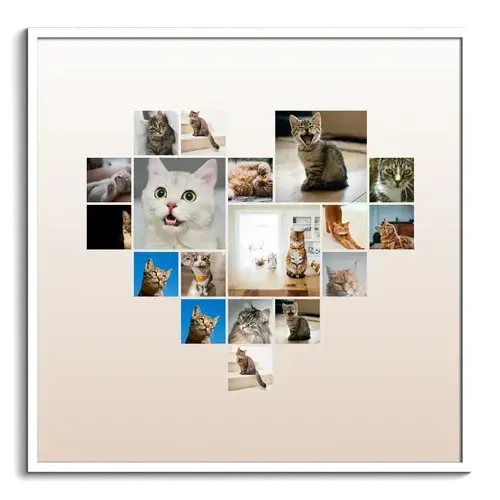 Hartcollage met kattenfoto's en tekstpers.