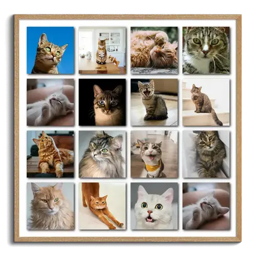 Polaroid Collage: Kattenfoto met Eigen Tekst