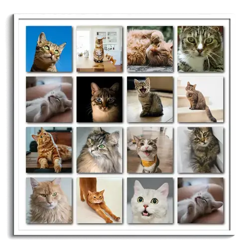 Polaroid Collage: Kattenfoto met Eigen Tekst