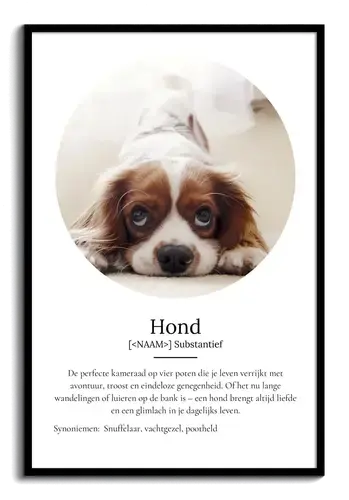 Personaliseerbaar Hondenposter: Jouw Perfecte Viervoeter Designen!