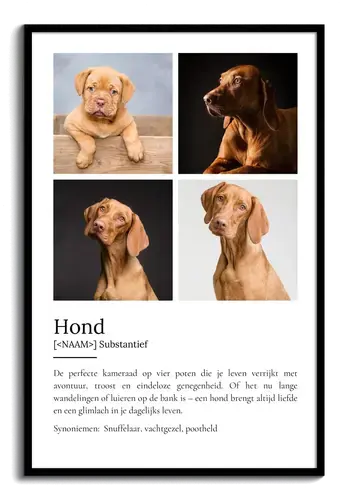 Personaliseerbaar Hondenposter: Jouw Perfecte Viervoeter Designen!