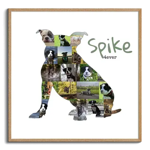 Creëer jouw unieke American Bully collage met gepersonaliseerde foto's en tekst!