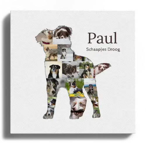 Creëer je eigen Australian Shepherd fotocollage - Hondenliefde vereeuwigen