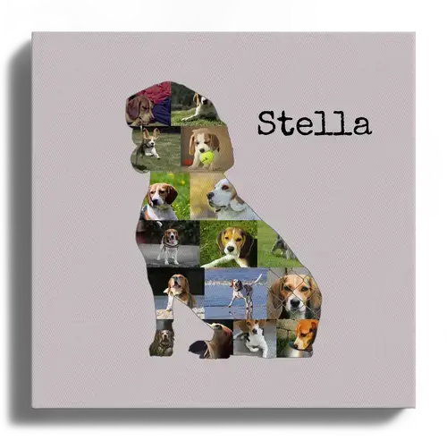 Creëer Je Eigen Beagle Collage - Persoonlijk Foto Geschenk!