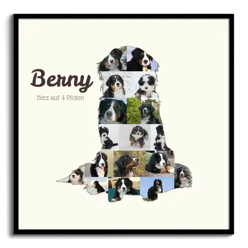 Creeër jouw eigen Berner Sennenhond fotocollage herinnering