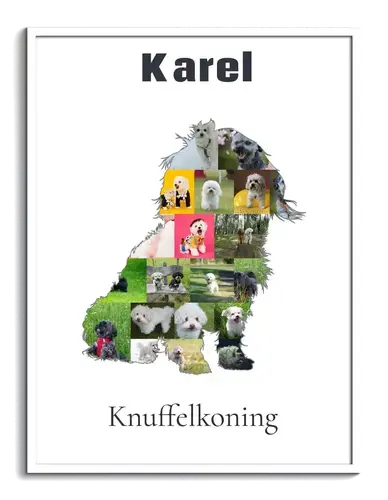 Creëer unieke Bolonka fotocollage: Jouw herinnering voor thuis of als cadeau!